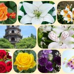 Dịch vụ mở công ty ở Điện Biên 6 Xin mở công ty ở Điện Biên