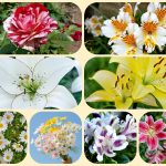 Dịch vụ mở công ty ở Hà Nam 6 Xin mở công ty ở Hà Nam