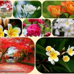 Dịch vụ mở công ty ở Hà Nội 12 Xin mở công ty ở Hà Nội