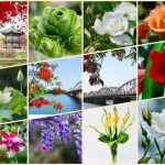 Dịch vụ mở công ty ở Hải Dương 6 Xin mở công ty ở Hải Dương