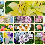 Dịch vụ mở công ty ở Hải Phòng 6 Xin mở công ty ở Hải Phòng