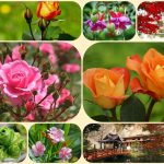 Dịch vụ mở công ty ở Hòa Bình 6 Xin mở công ty ở Hòa Bình