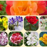 Dịch vụ mở công ty ở Huyện Bàu bàng 6 Xin mở công ty ở Huyện Bàu bàng