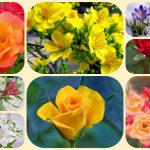 Dịch vụ mở công ty ở Huyện Bình Chánh 6 Xin mở công ty ở Huyện Bình Chánh
