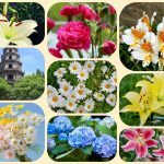 Dịch vụ mở công ty ở Huyện Củ Chi 6 Xin mở công ty ở Huyện Củ Chi