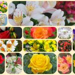 Dịch vụ mở công ty ở Huyện Phúc Thọ 6 Xin mở công ty ở Huyện Phúc Thọ
