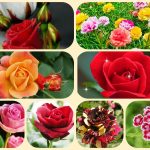 Dịch vụ mở công ty ở Huyện Quốc Oai 6 Xin mở công ty ở Huyện Quốc Oai