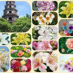 Dịch vụ mở công ty ở Kiên Giang 6 Xin mở công ty ở Kiên Giang