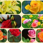 Dịch vụ mở công ty ở Lạng Sơn 6 Xin mở công ty ở Lạng Sơn