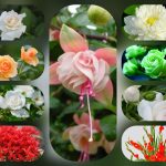 Thủ tục thành lập công ty tại Lào Cai 6 Thành lập công ty tại Lào Cai