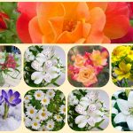 Dịch vụ mở công ty ở Nam Định 6 Xin mở công ty ở Nam Định