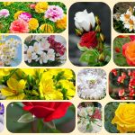 Dịch vụ mở công ty ở Ninh Bình 6 Xin mở công ty ở Ninh Bình