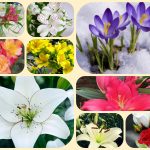 Dịch vụ mở công ty ở Ninh Thuận 6 Xin mở công ty ở Ninh Thuận