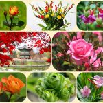 Dịch vụ mở công ty ở Quận 3 6 Xin mở công ty ở Quận 3