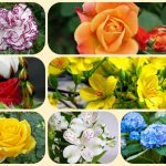 Dịch vụ mở công ty ở Quảng Trị 6 Xin mở công ty ở Quảng Trị
