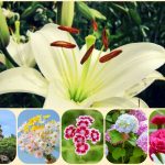 Dịch vụ mở công ty ở Sơn La 6 Xin mở công ty ở Sơn La