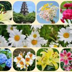 Dịch vụ mở công ty ở Thành Phố Hà Nội 6 Xin mở công ty ở Thành Phố Hà Nội