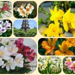 Dịch vụ mở công ty ở Thị Xã Bến Cát 6 Xin mở công ty ở Thị Xã Bến Cát