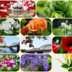 Dịch vụ mở công ty ở Thành phố Hồ Chí Minh 6 Xin mở công ty ở Thành phố Hồ Chí Minh