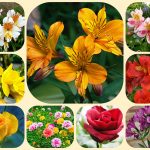 Dịch vụ mở công ty ở Tuyên Quang 6 Xin mở công ty ở Tuyên Quang