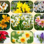 Dịch vụ mở công ty ở Yên Bái 6 Xin mở công ty ở Yên Bái