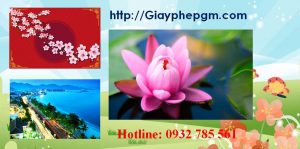 Dịch vụ làm giấy lý lịch tư pháp An Giang 6 Cần làm giấy lý lịch tư pháp An Giang