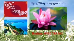 Dịch vụ làm giấy lý lịch tư pháp Bắc Giang 6 Cần làm giấy lý lịch tư pháp Bắc Giang