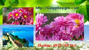 Dịch vụ làm giấy lý lịch tư pháp Điện Biên 6 Cần làm giấy lý lịch tư pháp Điện Biên