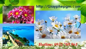Dịch vụ làm giấy lý lịch tư pháp Đồng Tháp 6 Cần làm giấy lý lịch tư pháp Đồng Tháp