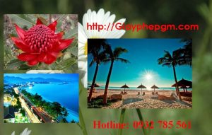 Dịch vụ làm giấy lý lịch tư pháp Hải Dương 6 Cần làm giấy lý lịch tư pháp Hải Dương