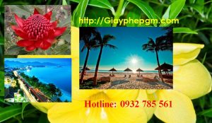 Dịch vụ làm giấy lý lịch tư pháp Hải Phòng 6 Cần làm giấy lý lịch tư pháp Hải Phòng