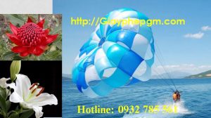 Dịch vụ làm giấy lý lịch tư pháp Hòa Bình 6 Cần làm giấy lý lịch tư pháp Hòa Bình
