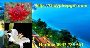 Dịch vụ làm giấy lý lịch tư pháp Khánh Hòa 6 Cần làm giấy lý lịch tư pháp Khánh Hòa