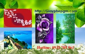 Dịch vụ làm giấy lý lịch tư pháp Kiên Giang 6 Cần làm giấy lý lịch tư pháp Kiên Giang