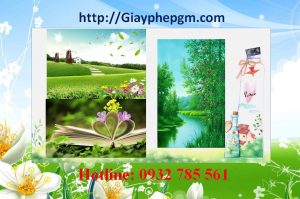 Dịch vụ làm giấy lý lịch tư pháp Tuyên Quang 6 Cần làm giấy lý lịch tư pháp Tuyên Quang