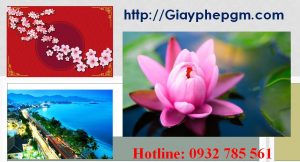 Dịch vụ làm giấy lý lịch tư pháp Vũng Tàu 6 Cần làm giấy lý lịch tư pháp Vũng Tàu