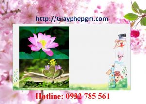 Dịch vụ làm giấy lý lịch tư pháp Yên Bái 6 Cần làm giấy lý lịch tư pháp Yên Bái