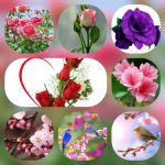 Chứng chỉ năng lực hoạt động xây dựng tại Thái Bình