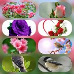 Chứng chỉ năng lực hoạt động xây dựng tại Thanh Hóa