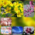 Dịch vụ cấp chứng chỉ năng lực xây dựng hạng III tại Bắc Giang 6 Xin giấy chứng chỉ hoạt động năng lực xây dựng tại Bắc Giang
