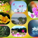 Dịch vụ cấp chứng chỉ năng lực xây dựng hạng III tại Bắc Kạn 6 Xin giấy chứng chỉ hoạt động năng lực xây dựng tại Bắc Kạn