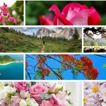 Dịch vụ cấp chứng chỉ năng lực xây dựng hạng III tại Cần Thơ 6 Xin giấy chứng chỉ hoạt động năng lực xây dựng tại Cần Thơ