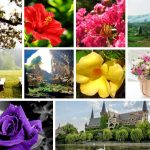 Dịch vụ cấp chứng chỉ năng lực xây dựng hạng III tại Đắk Lắk 6 Xin giấy chứng chỉ hoạt động năng lực xây dựng tại Đắk Lắk