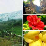 Dịch vụ cấp chứng chỉ năng lực xây dựng hạng III tại Điện Biên 6 Xin giấy chứng chỉ hoạt động năng lực xây dựng tại Điện Biên