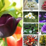 Dịch vụ cấp chứng chỉ năng lực xây dựng hạng III tại Hà Nam nhanh chóng, uy tín 6 Xin giấy chứng chỉ hoạt động năng lực xây dựng tại Hà Nam