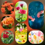 Dịch vụ cấp chứng chỉ năng lực xây dựng hạng III tại Hà Nội 6 Xin giấy chứng chỉ hoạt động năng lực xây dựng tại Hà Nội
