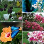 Dịch vụ cấp chứng chỉ năng lực xây dựng hạng III tại Hòa Bình 6 Xin giấy chứng chỉ hoạt động năng lực xây dựng tại Hòa Bình