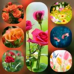 Dịch vụ cấp chứng chỉ năng lực xây dựng hạng III tại Huyện Bắc Tân Uyên 6 Xin giấy chứng chỉ hoạt động năng lực xây dựng tại Huyện Bắc Tân Uyên