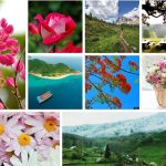 Dịch vụ cấp chứng chỉ năng lực xây dựng hạng III tại Huyện Bàu Bàng 6 Xin giấy chứng chỉ hoạt động năng lực xây dựng tại Huyện Bàu Bàng