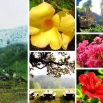 Dịch vụ cấp chứng chỉ năng lực xây dựng hạng III tại Huyện Dầu Tiếng 6 Xin giấy chứng chỉ hoạt động năng lực xây dựng tại Huyện Dầu Tiếng